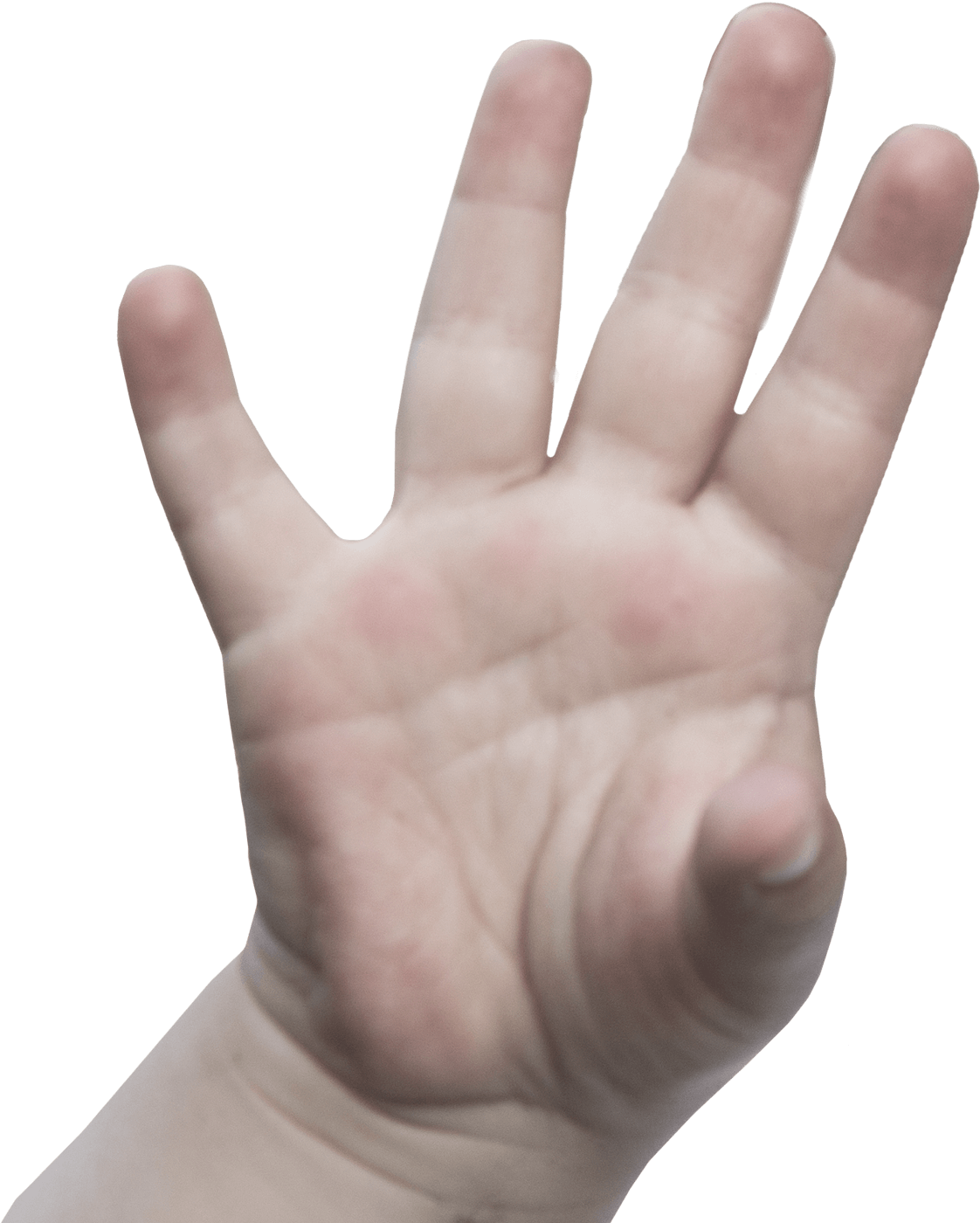 Vreni Arbes Kontakt Hand